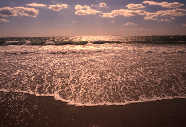 The foam from the last of a wave coming ashore on a Massachusetts beach