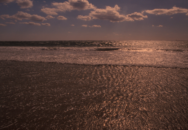Foam and surf highlighted by the afternoon sun