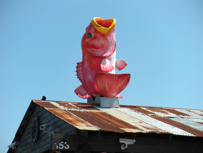 Fish adorning seafood restaurant in Pascagoula area