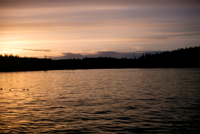 An Alaskan sunset