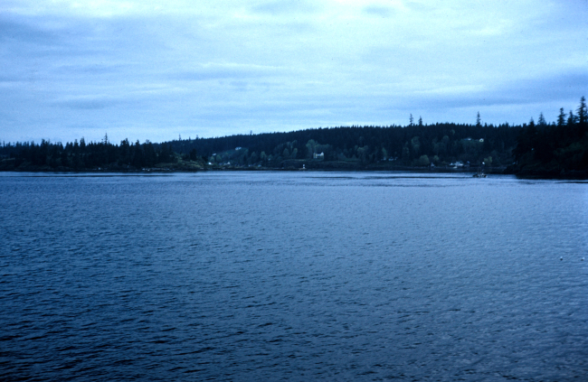 A scene along the Inside Passage