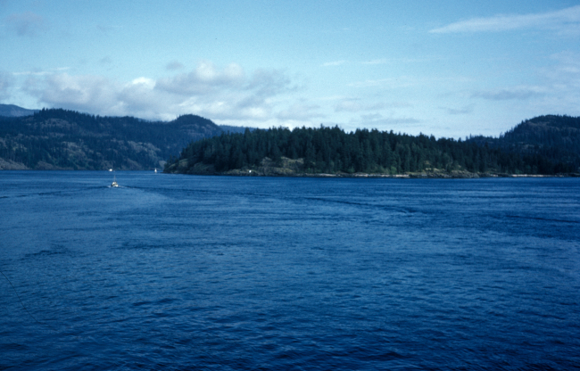 A scene along the Inside Passage