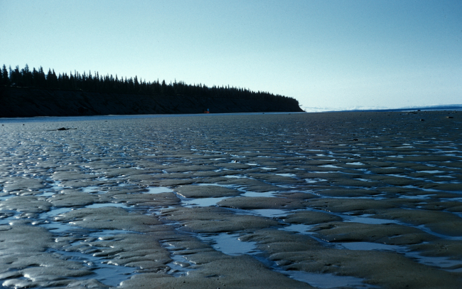 Low tide in Cook Inlet
