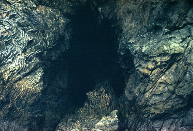 Folded and twisted metamorphic rocks along the Alaska shoreline