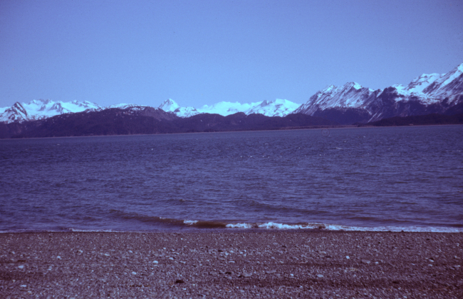 Coastal scene