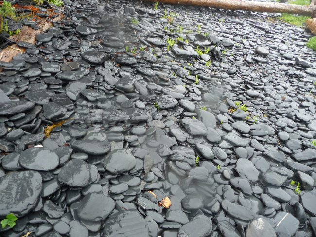 Shingle beach at Fort Abercrombie State Park