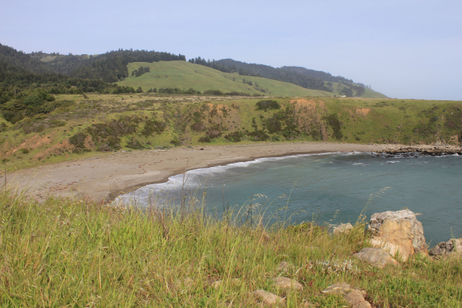 A sandy cove near Fort Ross