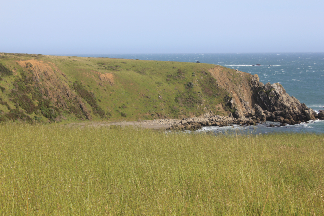 A rocky outcrop at the south end of the small cove at Fort Ross