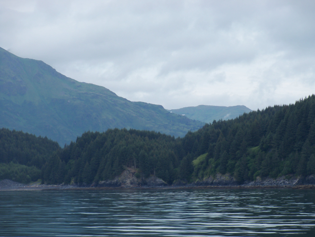 Kodiak Island with large evergreens at low levels and the treeline seen on thehigh ridges indicating a more severe Arctic climate as elevation increases