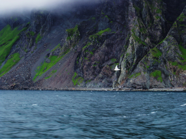 Fog shrouded cliffs of the Pavlof Islands