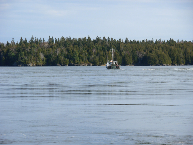 A sea urchin dragging fishing vessel in Passamaquoddy Bay