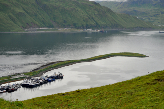 A man-made spit forming a harbor for numerous fishing vessels