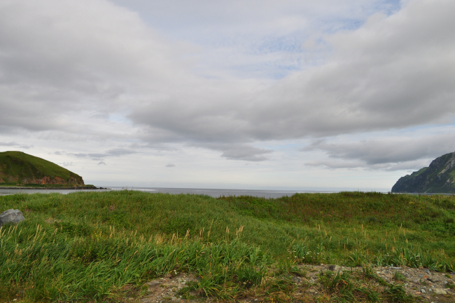 Looking over a field of grass and sea oats to the Bering Sea