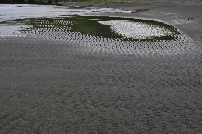 Black volcanic sand bottom at low tide
