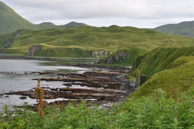 Rock ledges protruding out from shore at low tide