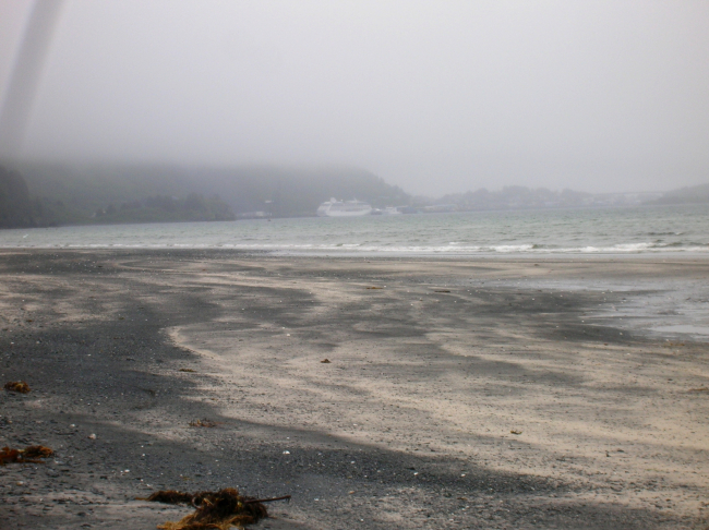 A cruise ship in Kodiak Harbor seen on a gray foggy day