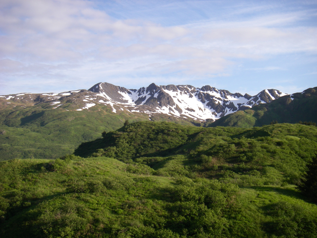 A scene on the road to Anton Larsen Bay from Kodiak
