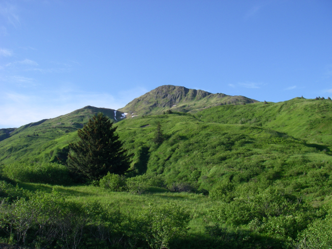 A scene on the road to Anton Larsen Bay from Kodiak