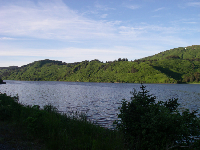 A view of Anton Larsen Bay