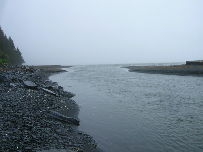 A river debouching in the sea