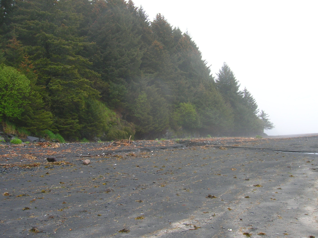 A black volcanic sand beach