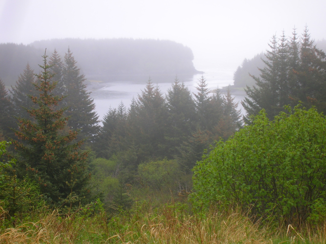 A fog shrouded bay and inlet seen from the mountains above