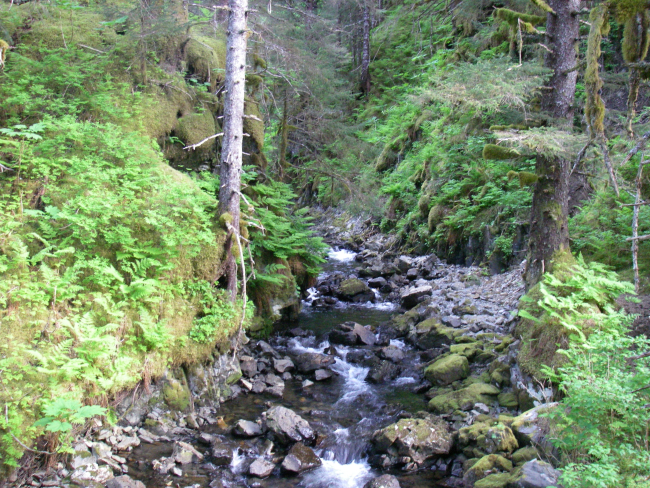 A babbling brook heading to the sea