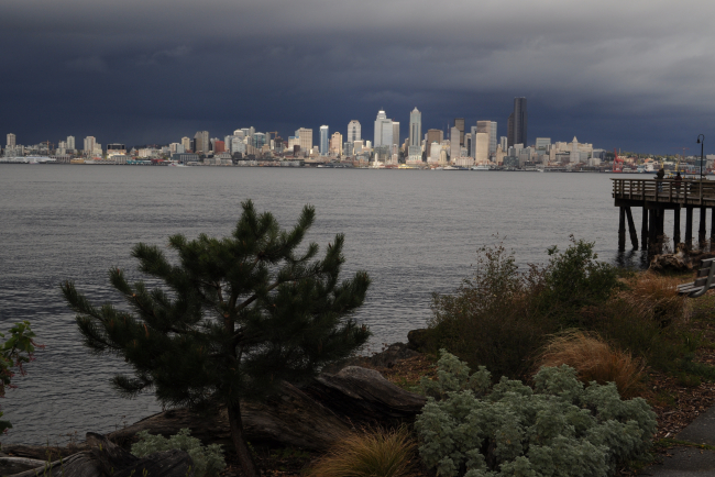 The Seattle Skyline south of the Space Needle
