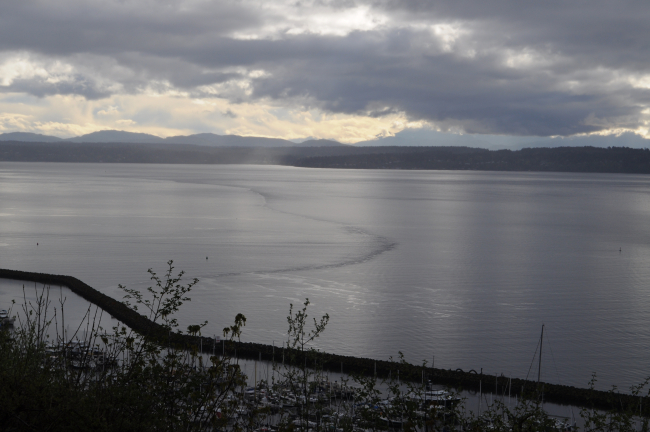 A tide rip in Puget Sound