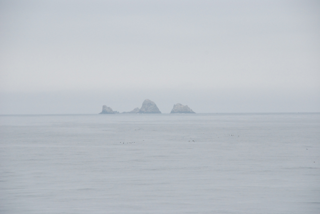 Northern Farallon Islands