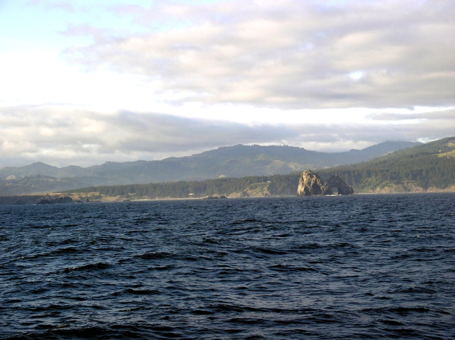 Northern California or Oregon coast