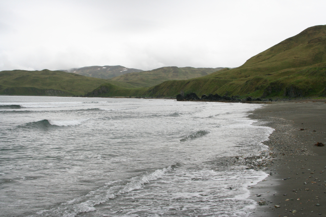 Shells and pebbles along a Dutch Harbor beach