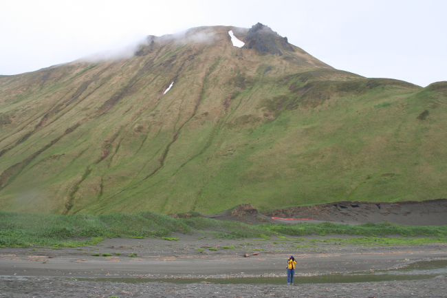 A small Aleutian stream winding its way to the sea at Dutch Harbor