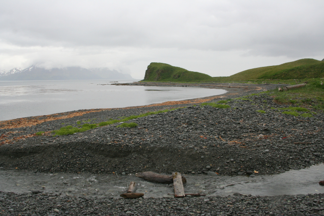 A small stream has cut its way to the sea through the beach berm at a DutchHarbor beach
