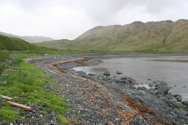 Kelp, boulders, and logs high up above the waterline indicate violent stormson other days