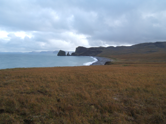 The coast of St