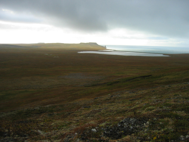 The coast of St