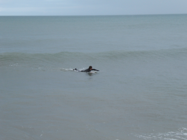 Let's go surfing now - not quite what the Beach Boys had in mind