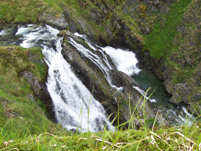 Exploring a Dutch Harbor or Kodiak Island mountain stream