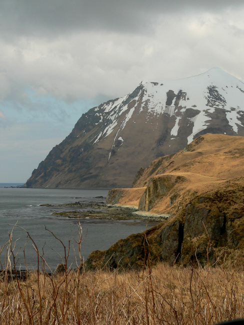 Exploring the Dutch Harbor shoreline