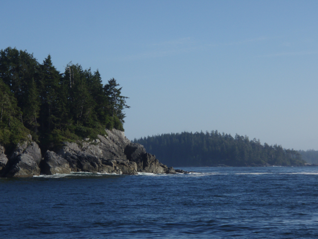 Evergreens coming almost to the sea on the shores of Kodiak Island