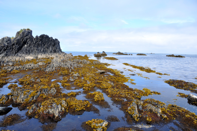 Low tide along the Kodiak coastline