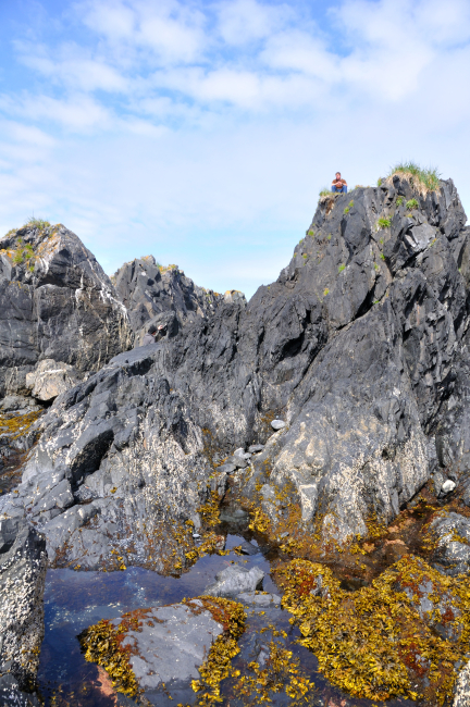 Low tide along the Kodiak coastline