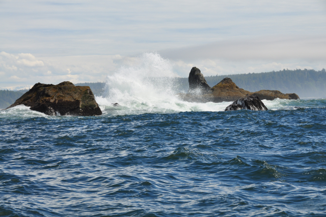 Offshore rocks and spray along the Olympic coast