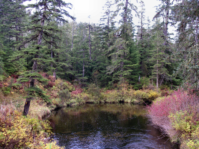 Brown Mountain area