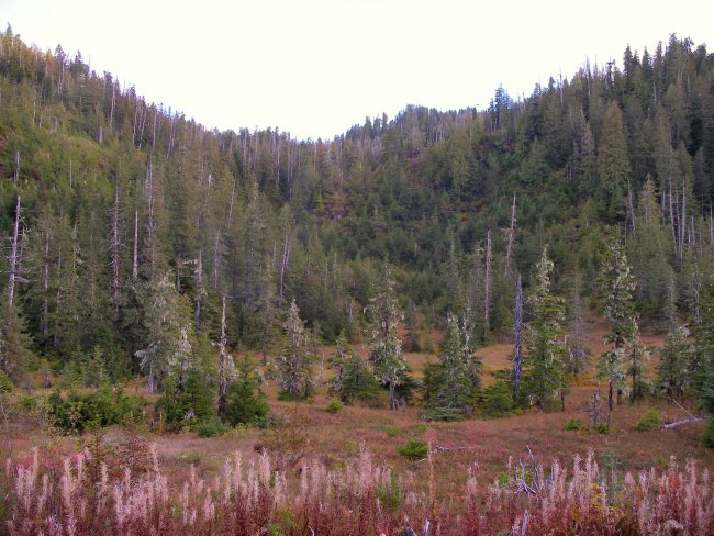 Brown Mountain area