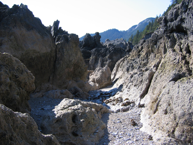 Some tough beachcombing near Cape Decision