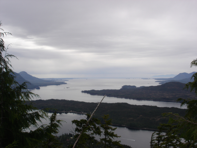 A view of the labyrinthine waterways in the Sitka area