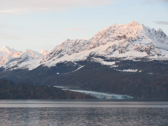 A glacier debouching in Glacier Bay