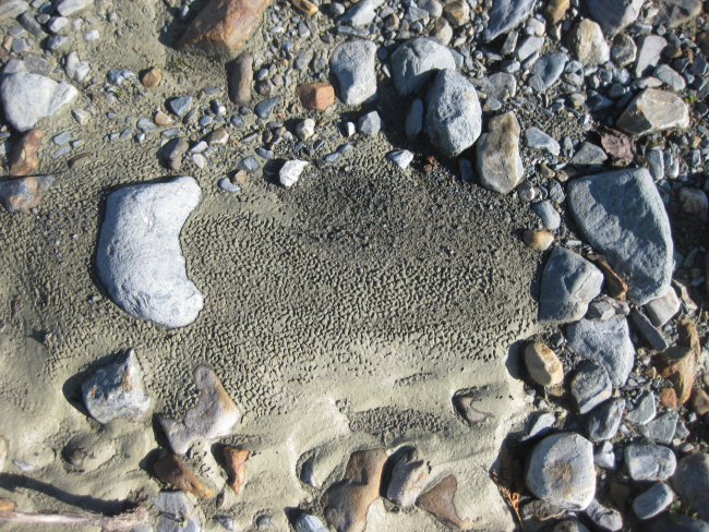 Maybe little ice structures in a sandy area of beach cobbles